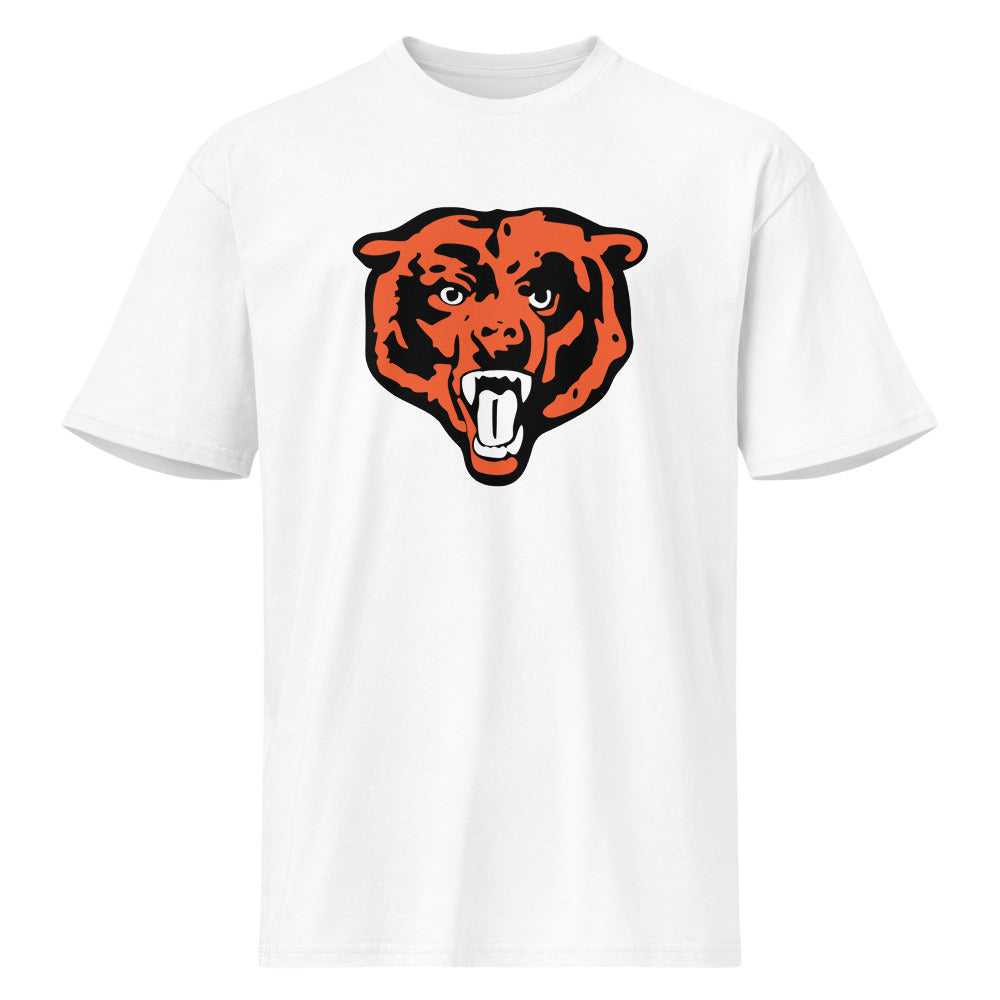 Austin High School Design 2 — White