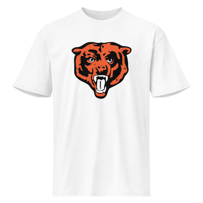 Austin High School Design 2 — White
