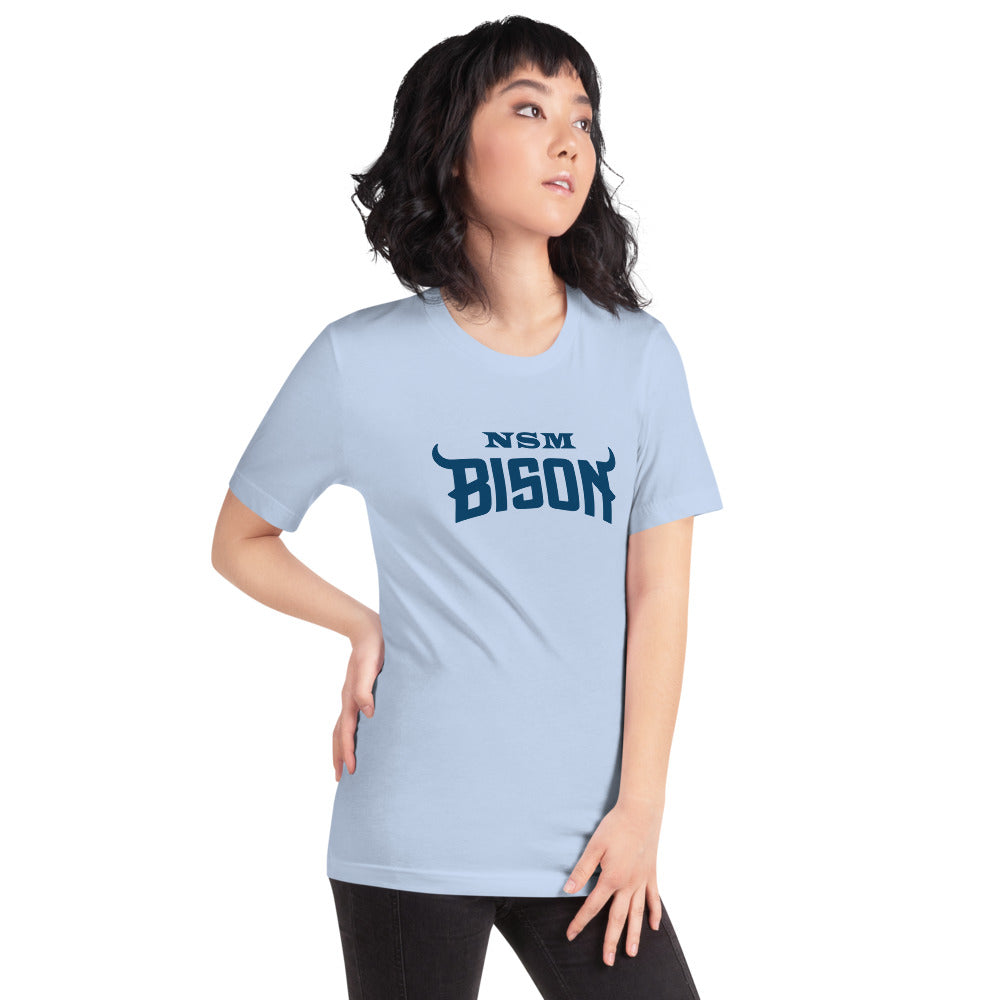 North Sand Mountain High School Design 3 — Baby Blue