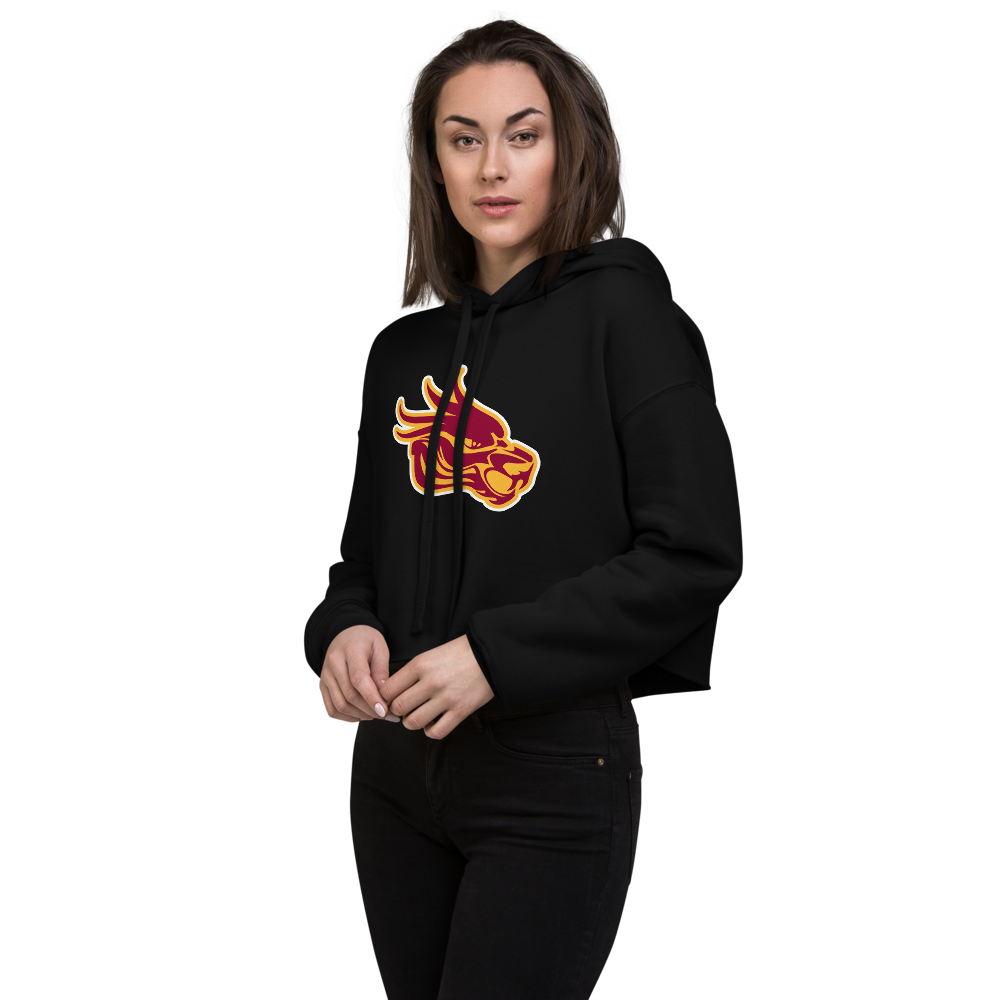 Del Sol Academy of the Performing Arts Design 3 — Black