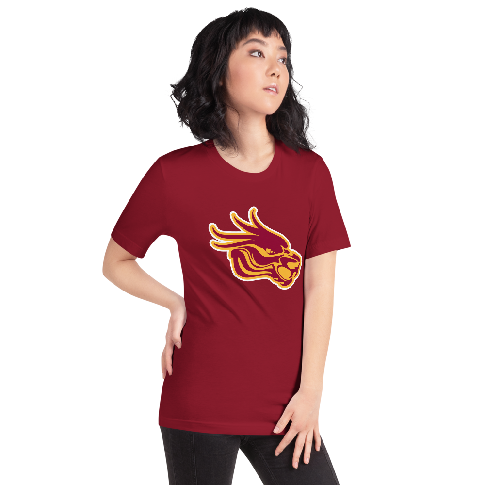 Del Sol Academy of the Performing Arts Design 3 — Cardinal