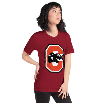 Collinsville High School Design 3 — Cardinal