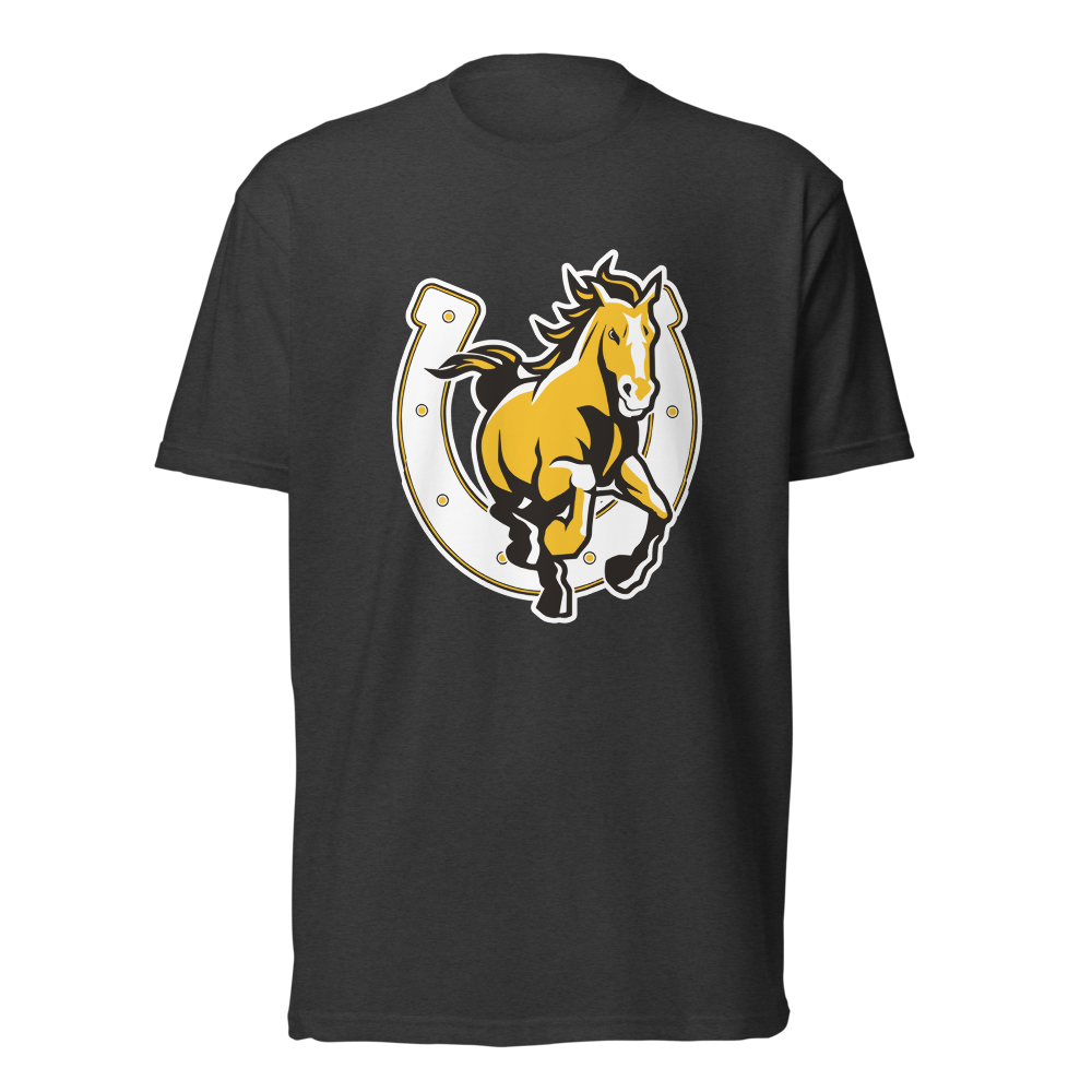 Cottonwood High School Design 3 — Charcoal