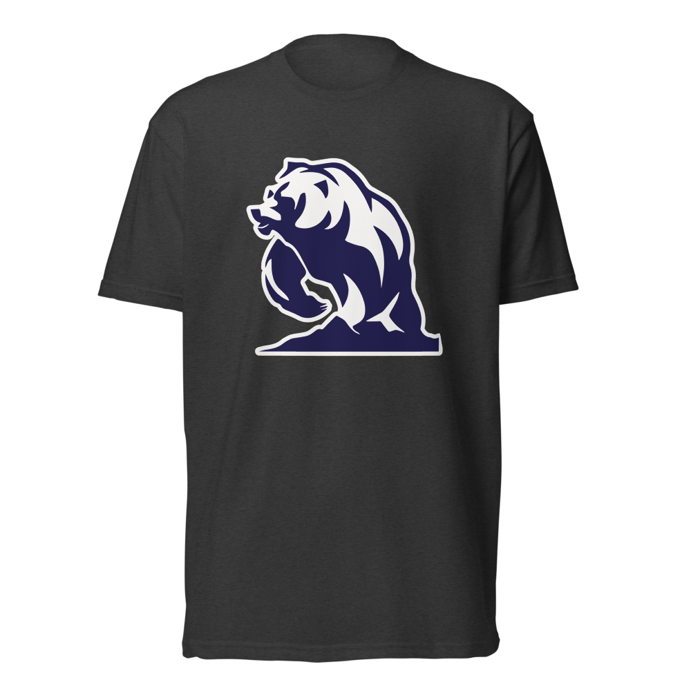 Summit Academy Design 3 — Charcoal
