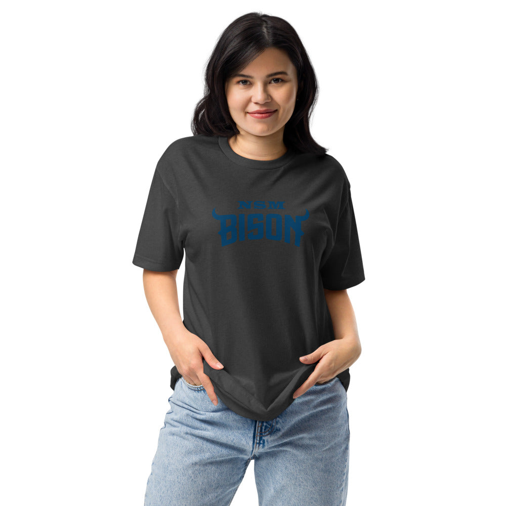 North Sand Mountain High School Design 3 — Charcoal