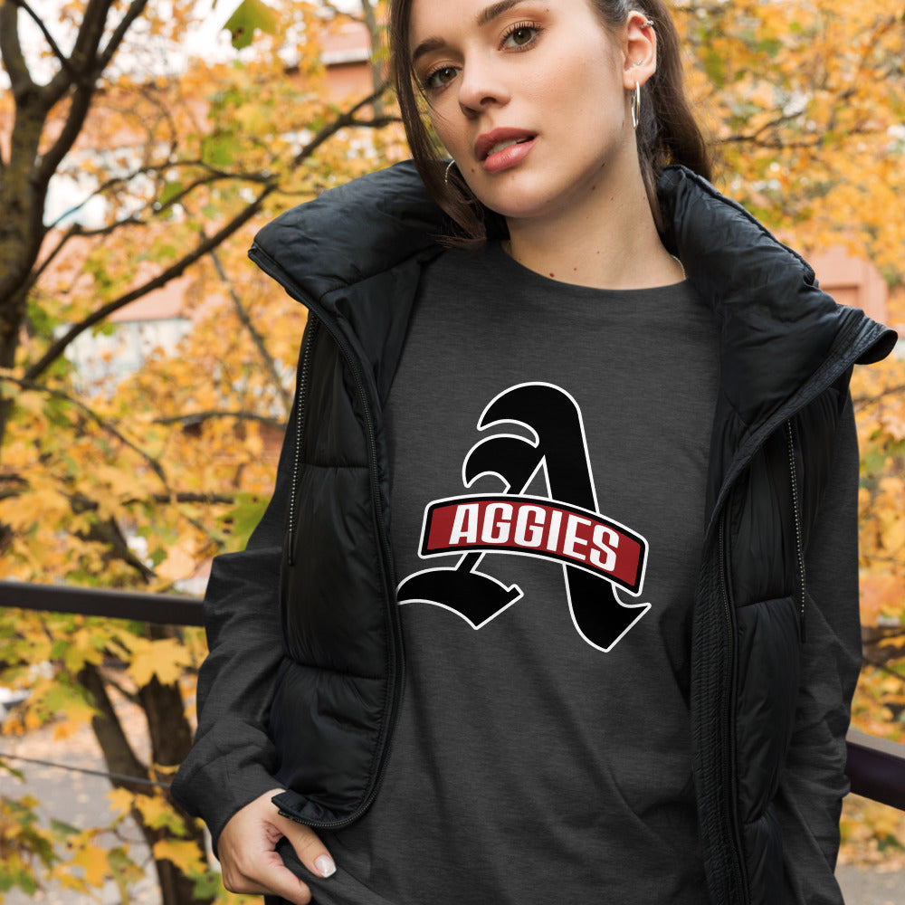 Albertville High School Design 3 — Dark Grey Heather