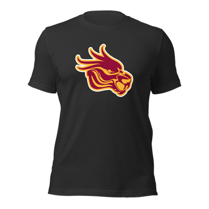 Del Sol Academy of the Performing Arts Design 3 — Dark Grey