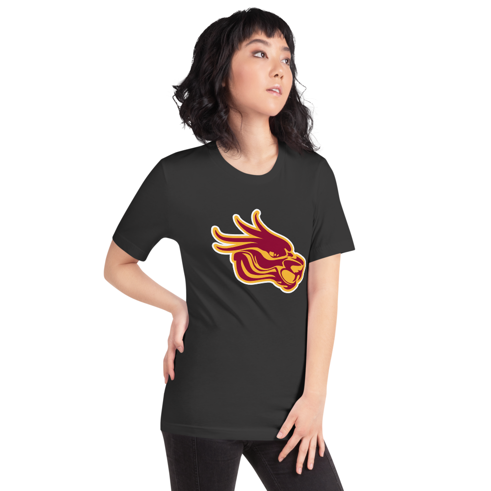 Del Sol Academy of the Performing Arts Design 3 — Dark Grey