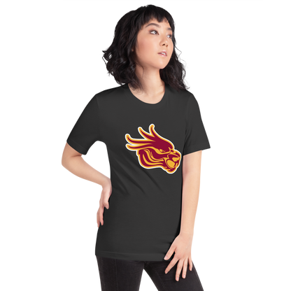 Del Sol Academy of the Performing Arts Design 3 — Dark Grey