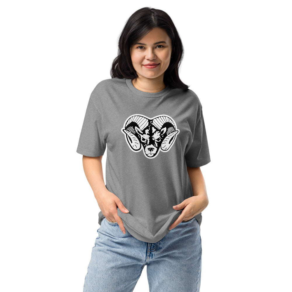 Radford High School Design 3 — Dark Heather Gray