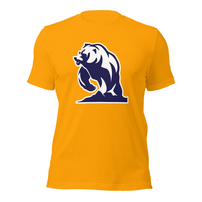 Summit Academy Design 3 — Gold