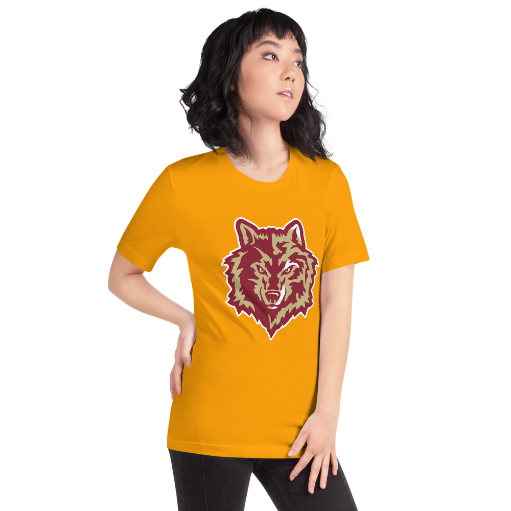Cedar High School Design 3 — Gold