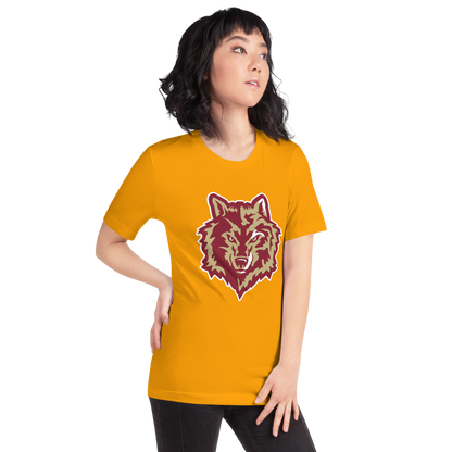 Cedar High School Design 3 — Gold
