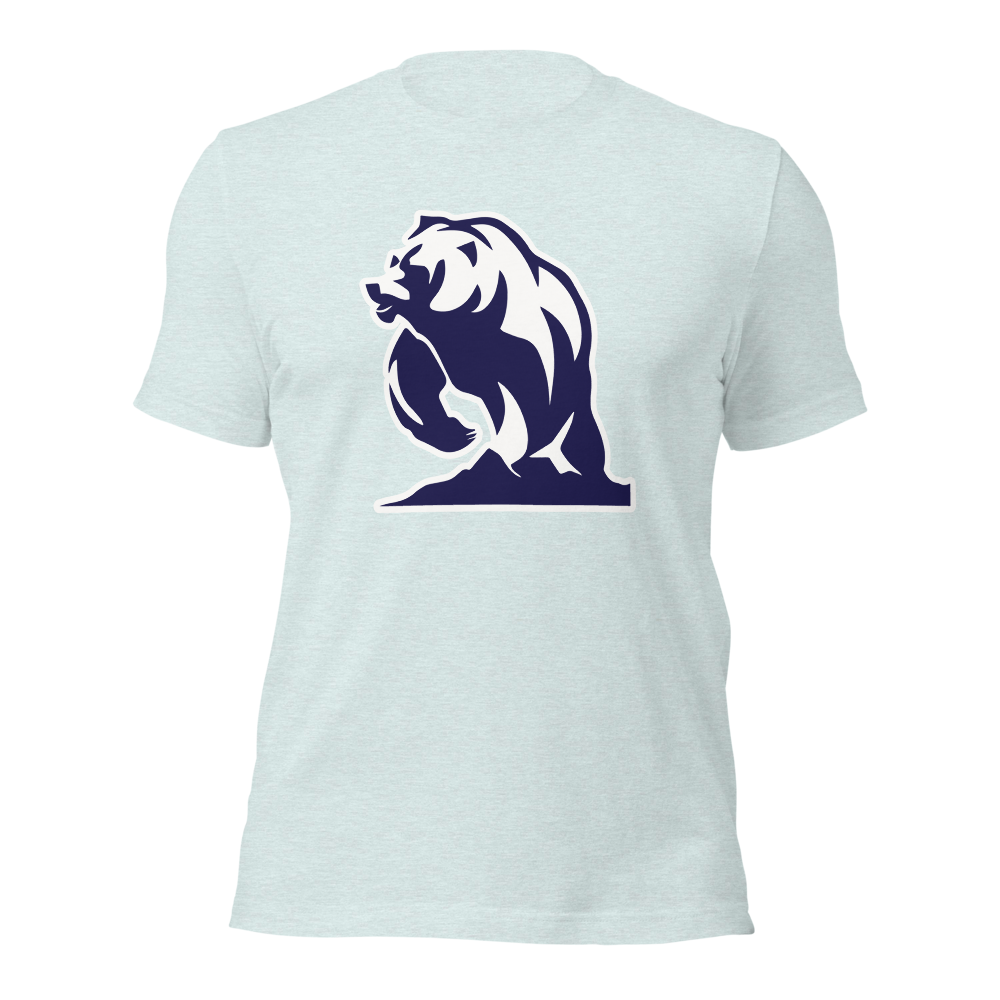 Summit Academy Design 3 — Heather Prism Ice Blue