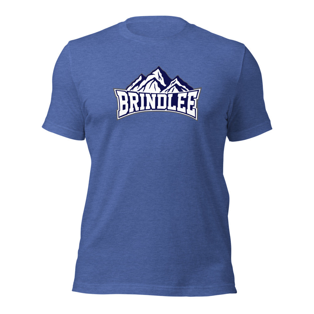 Brindlee Mountain High School Design 3 — Heather True Royal