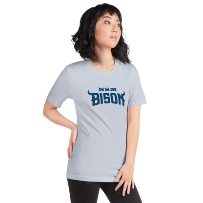 North Sand Mountain High School Design 3 — Light Blue