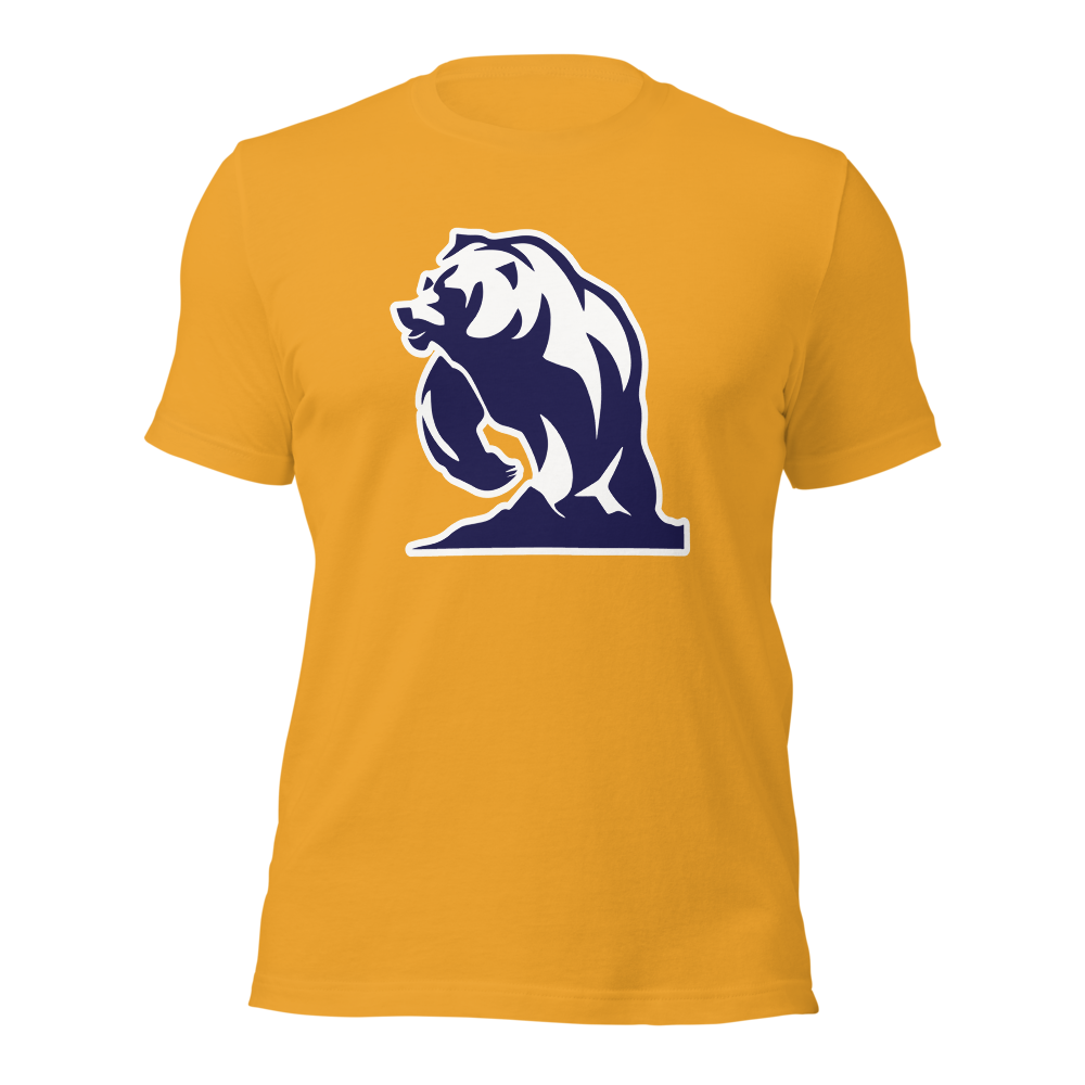 Summit Academy Design 3 — Mustard