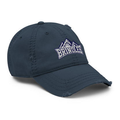 Brindlee Mountain High School Design 3 — Navy