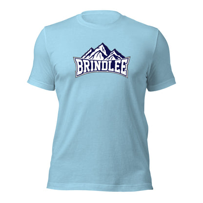 Brindlee Mountain High School Design 3 — Ocean Blue
