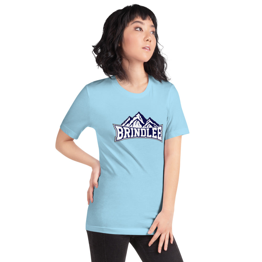 Brindlee Mountain High School Design 3 — Ocean Blue