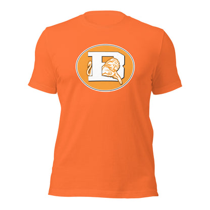 Brooks High School Design 3 — Orange