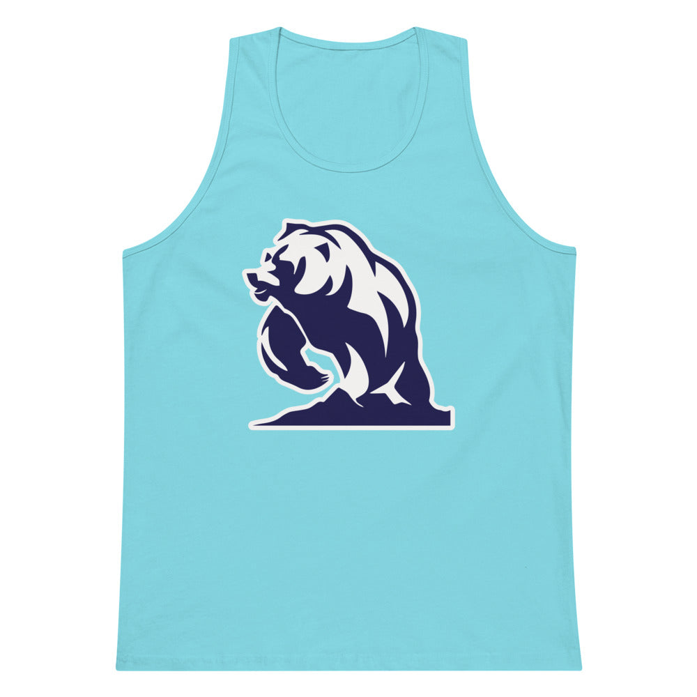 Summit Academy Design 3 — Pacific Blue