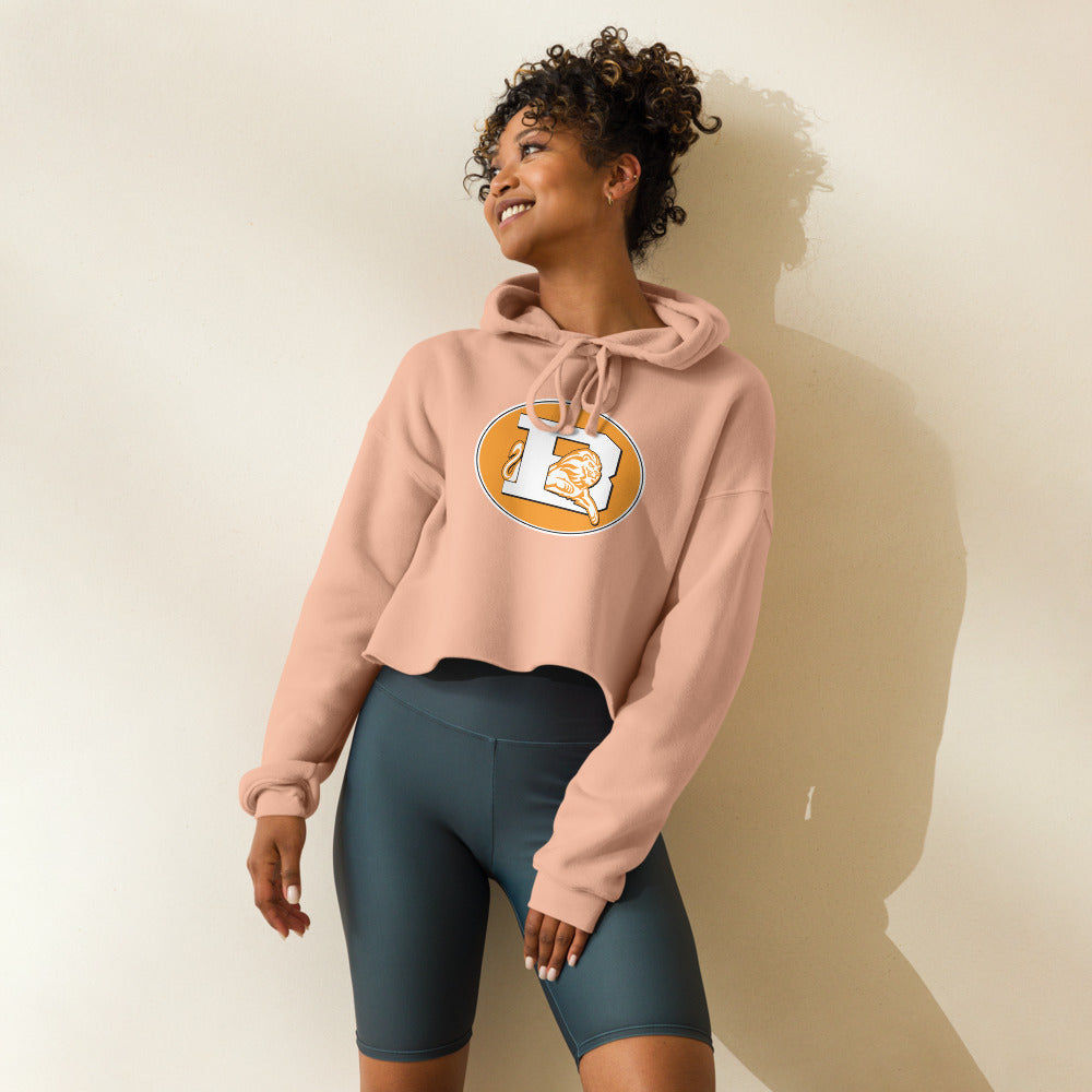 Brooks High School Design 3 — Peach