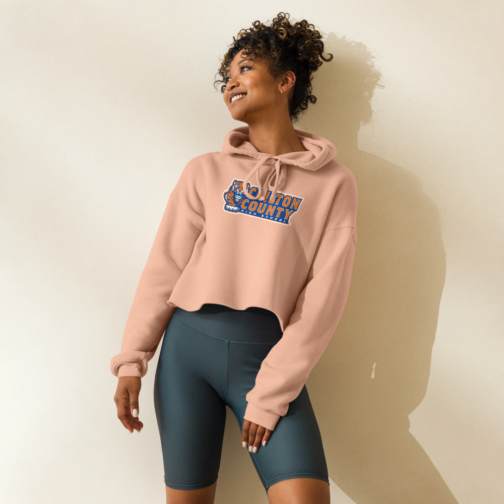 Chilton County High School Design 3 — Peach
