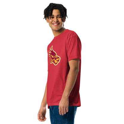 Del Sol Academy of the Performing Arts Design 3 — Red