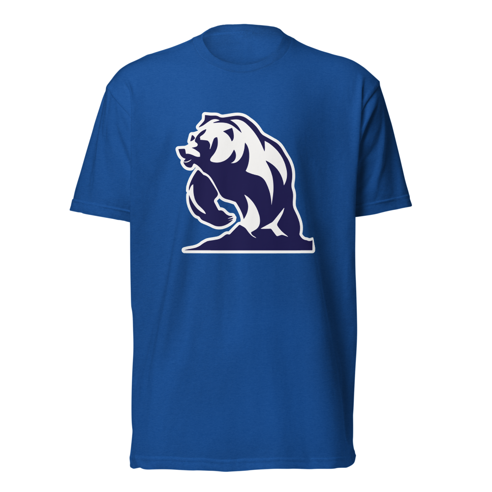Summit Academy Design 3 — Royal