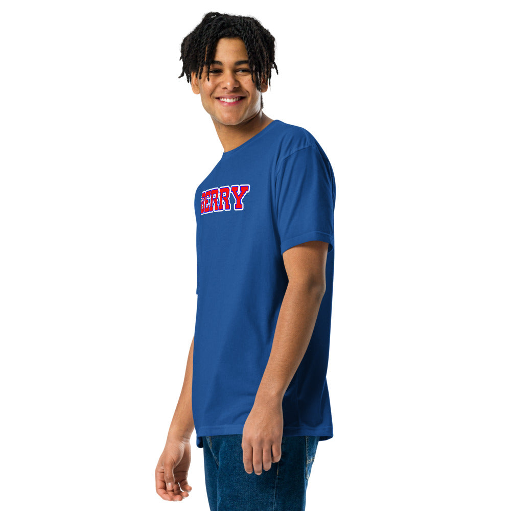 Berry High School Design 3 — Royal
