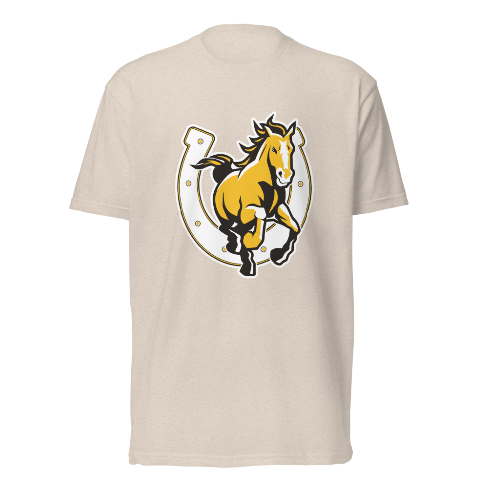 Cottonwood High School Design 3 — Sand
