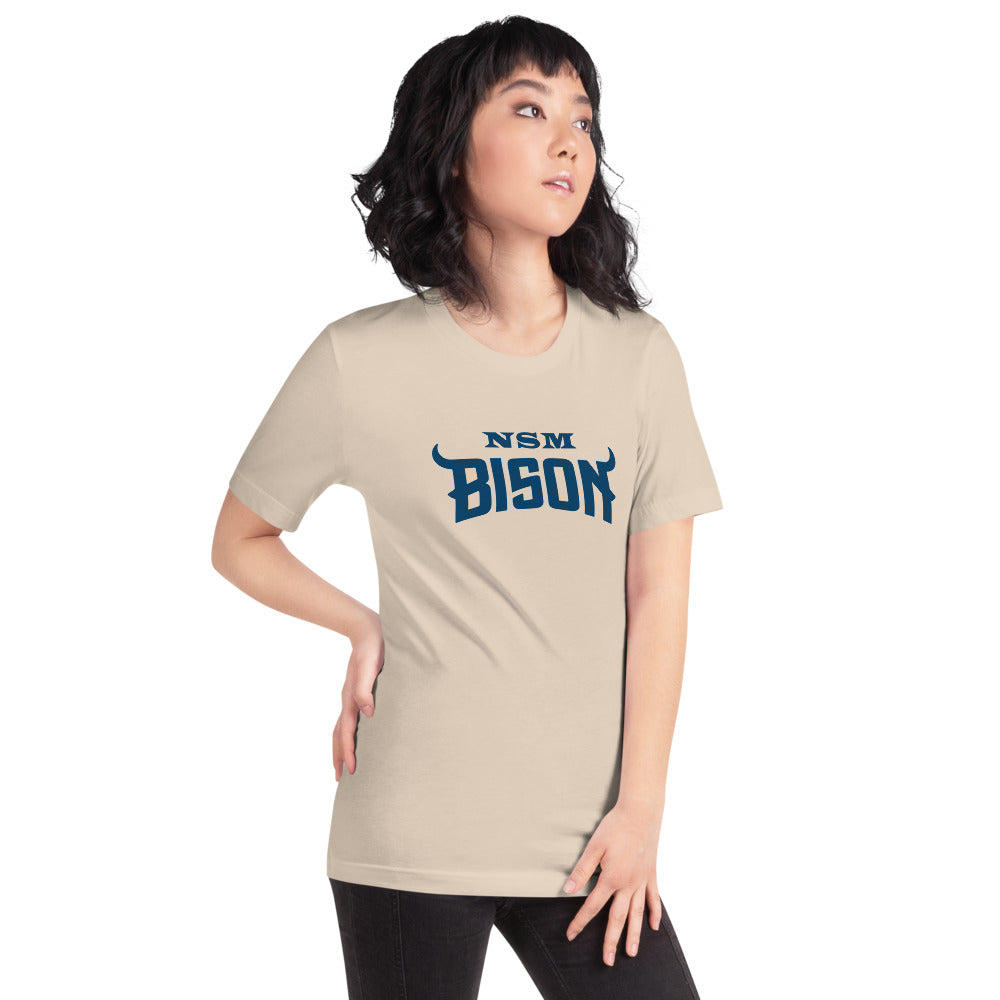 North Sand Mountain High School Design 3 — Soft Cream