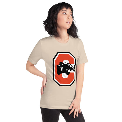 Collinsville High School Design 3 — Soft Cream
