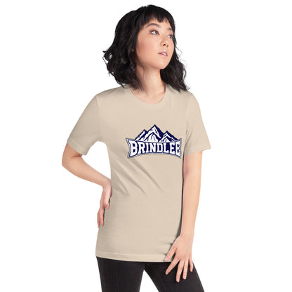 Brindlee Mountain High School Design 3 — Soft Cream