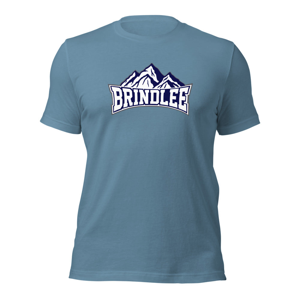 Brindlee Mountain High School Design 3 — Steel Blue