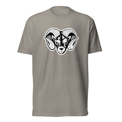 Radford High School Design 3 — Stone Grey