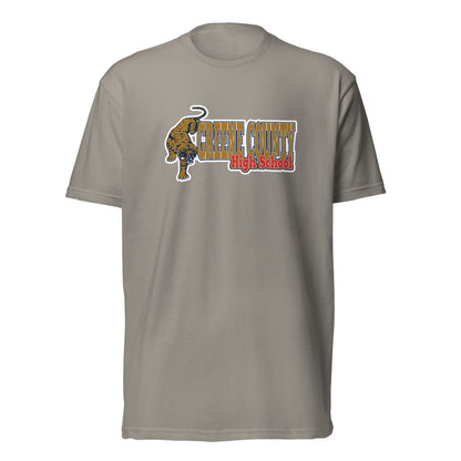 Greene County High School Design 3 — Stone Grey