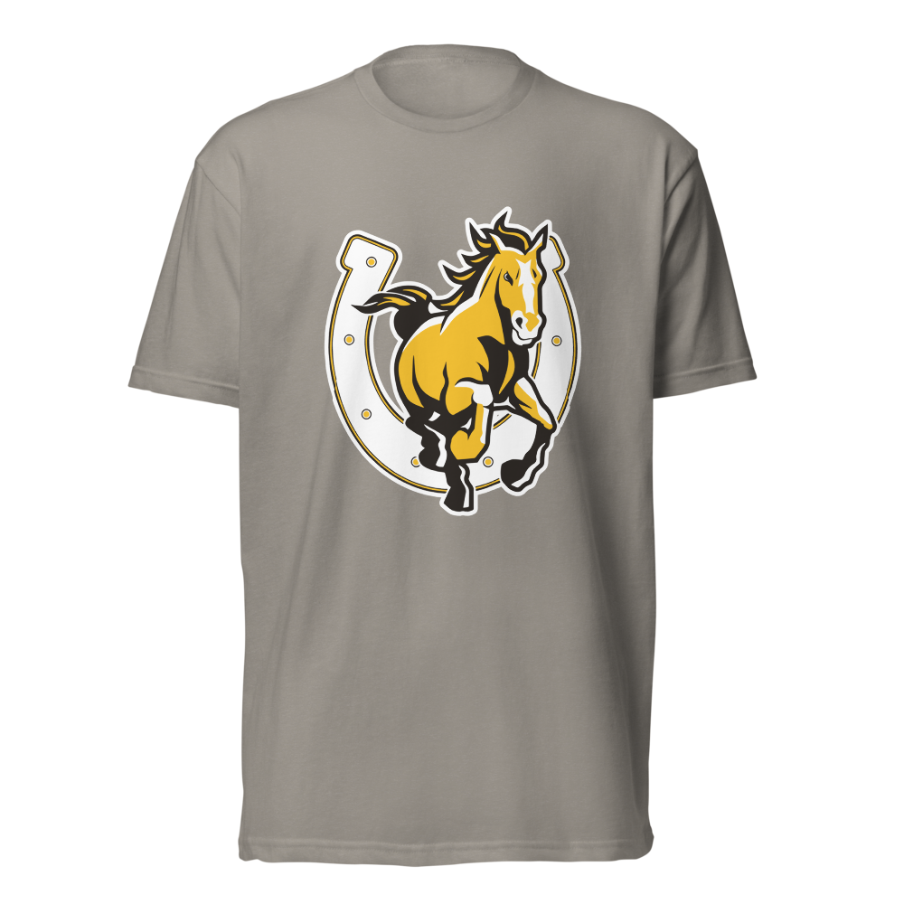 Cottonwood High School Design 3 — Stone Grey