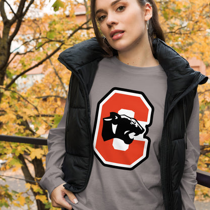 Collinsville High School Design 3 — Storm