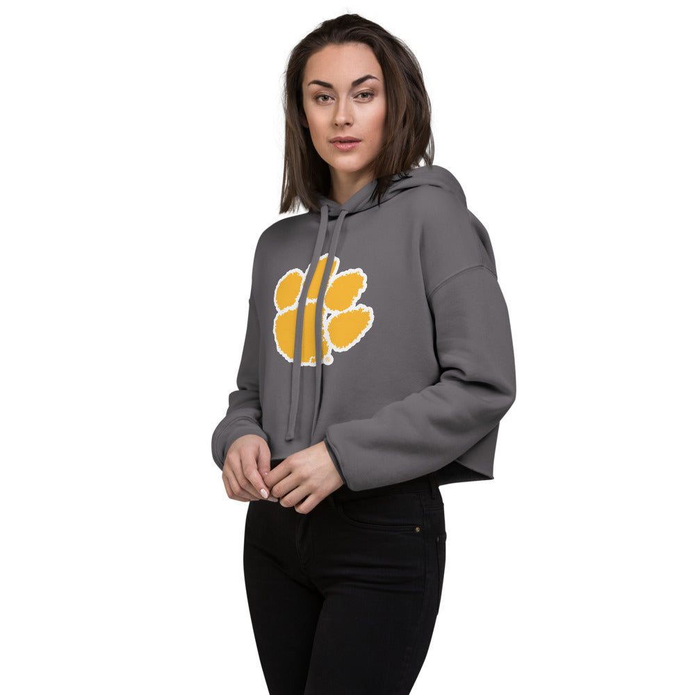 Ariton High School Design 3 — Storm