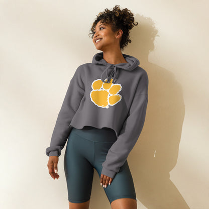 Ariton High School Design 3 — Storm
