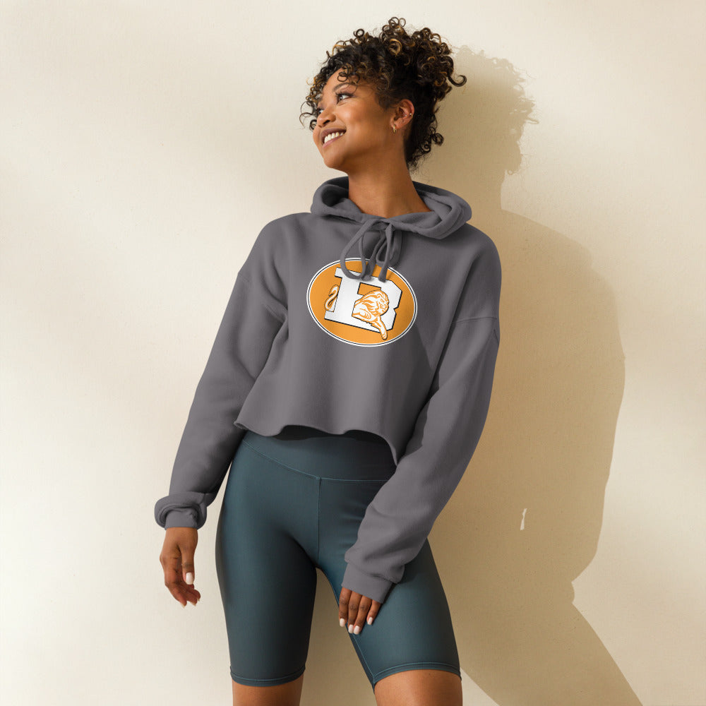 Brooks High School Design 3 — Storm