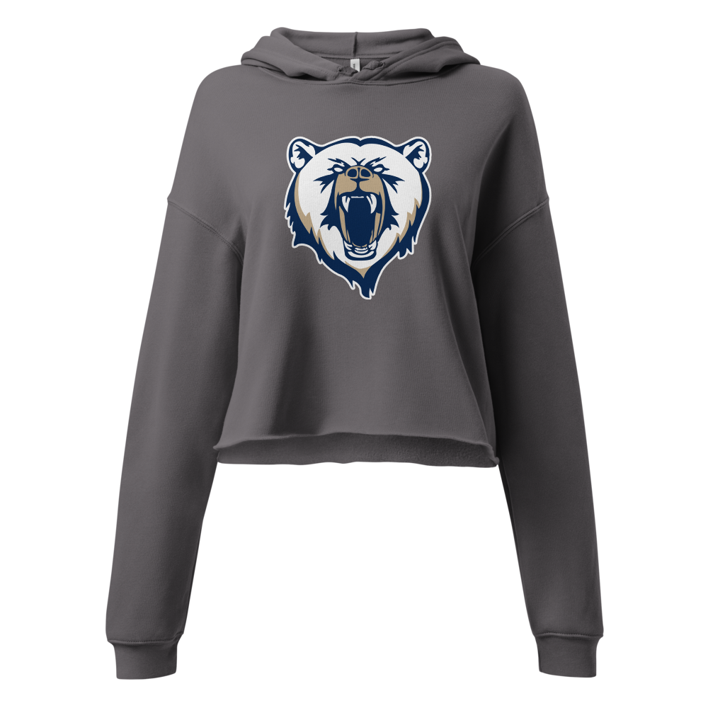 Spring Valley Grizzlies Design 3 — Storm