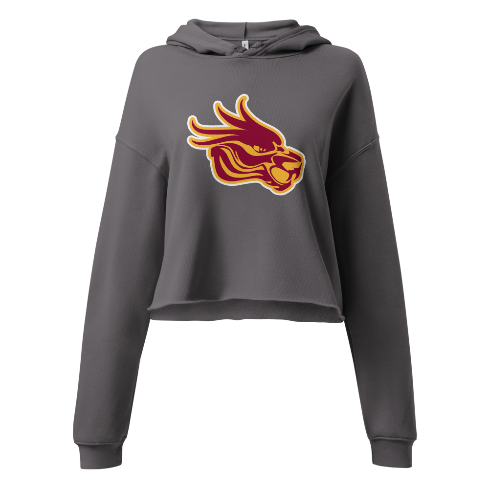 Del Sol Academy of the Performing Arts Design 3 — Storm