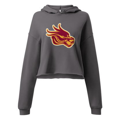 Del Sol Academy of the Performing Arts Design 3 — Storm