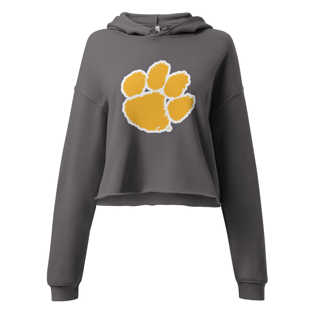 Ariton High School Design 3 — Storm