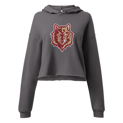 Cedar High School Design 3 — Storm