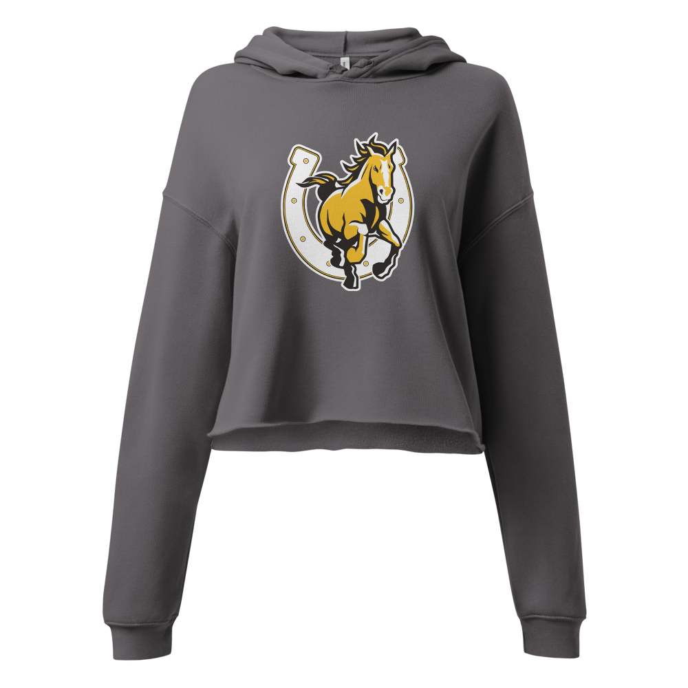 Cottonwood High School Design 3 — Storm