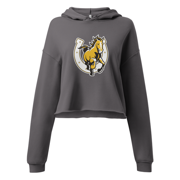 Cottonwood High School Design 3 — Storm